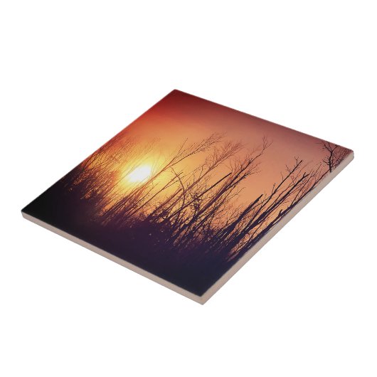 Autumn Sun Tegeltje (Zijkant)