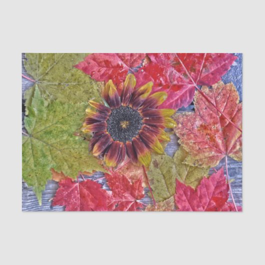 Autumn Sunflower Red Yellow Maple Leaves Wood Tissuepapier (Voorkant)