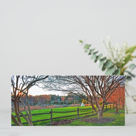 Autumn Sunset by Shirley Taylor (Staand voorkant)