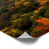 Autumn Sunset | North Carolina Poster (Hoek)