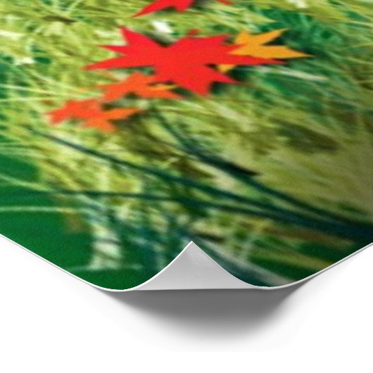 Autumn Sunset Poster (Hoek)