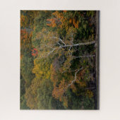 Autumn Sycamores Legpuzzel (Verticaal)