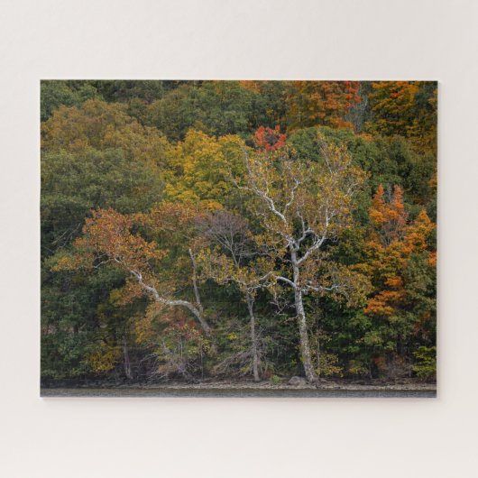 Autumn Sycamores Legpuzzel (Horizontaal)