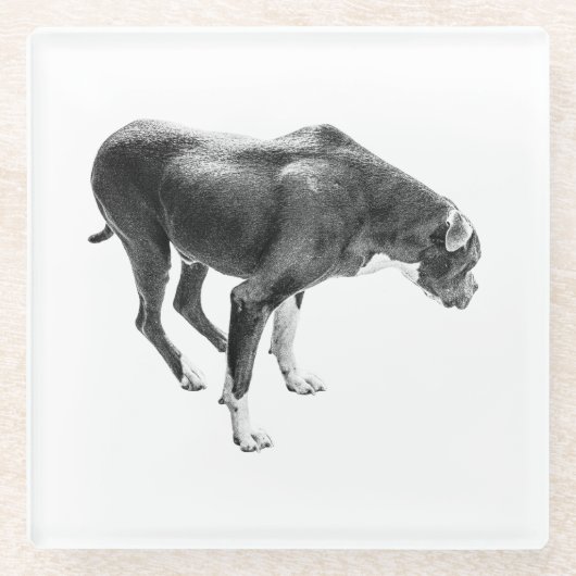 Autumn Table Guardian Glazen Onderzetter (Voorkant)