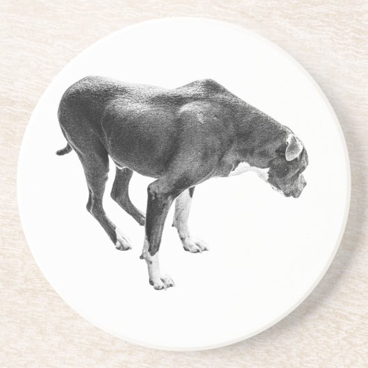 Autumn Table Guardian Zandsteen Onderzetter (Voorkant)