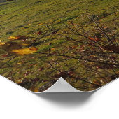 Autumn Tatras Poster (Hoek)