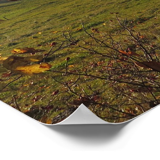 Autumn Tatras Poster (Hoek)