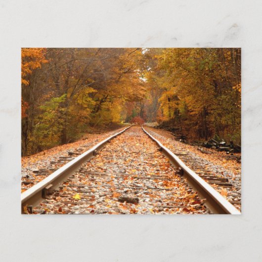 Autumn Tracks briefkaart (Voorkant)