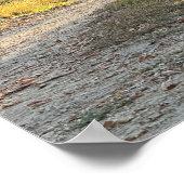 Autumn Trail Foto Poster (Hoek)