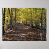 AUTUMN TRAIL. POSTER (Voorkant)