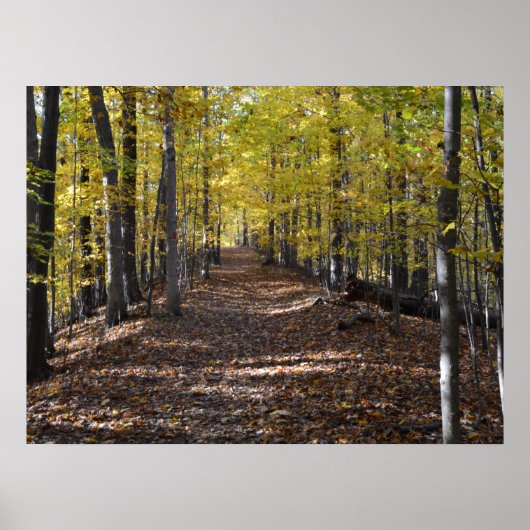 AUTUMN TRAIL. POSTER (Voorkant)