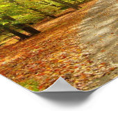 Autumn Trail Poster (Hoek)