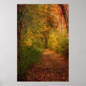 Autumn Trail Print (Voorkant)