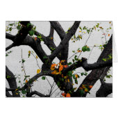 Autumn Tree Branches (Voorkant Horizontaal)