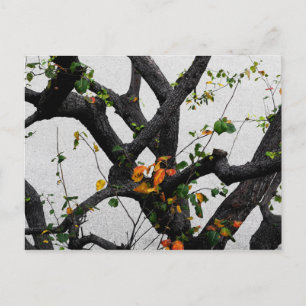 Autumn Tree Branches Briefkaart