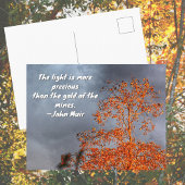 Autumn Tree Golden Light John Muir Nature Quote Briefkaart
