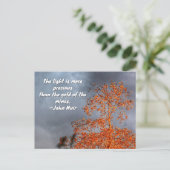 Autumn Tree Golden Light John Muir Nature Quote Briefkaart (Staand voorkant)