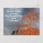 Autumn Tree Golden Light John Muir Nature Quote Briefkaart (Voorkant)