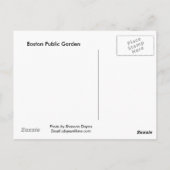 Autumn Tree in Boston Public Garden Briefkaart (Achterkant)