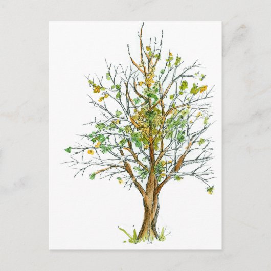 Autumn Tree Pen en Ink Tekening Waterverf Briefkaart (Voorkant)