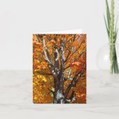 Autumn Tree Shadows Note-Kaart Bedankkaart (Voorkant)