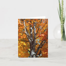 Autumn Tree Shadows Note-Kaart Bedankkaart