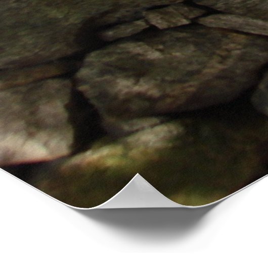 Autumn Tree & Wall Poster (Hoek)