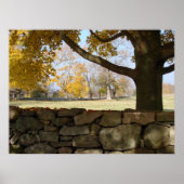 Autumn Tree & Wall Poster (Voorkant)
