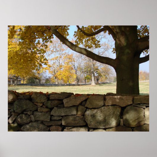 Autumn Tree & Wall Poster (Voorkant)