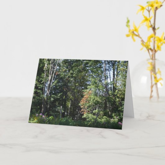 Autumn Trees Blank Kaart (Gele Bloem)