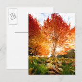 Autumn Trees Briefkaart (Voorkant / Achterkant)