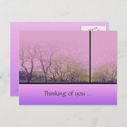 Autumn Trees Briefkaart (Voorkant / Achterkant)