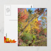 Autumn Trees Briefkaart (Voorkant / Achterkant)