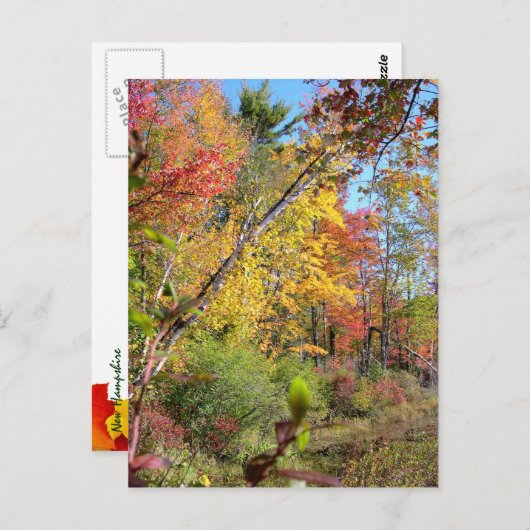 Autumn Trees Briefkaart (Voorkant / Achterkant)