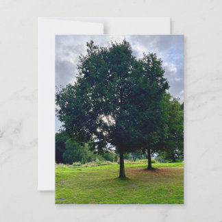 Autumn trees briefkaart