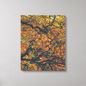 AUTUMN TREES CANVAS AFDRUK (Voorkant)