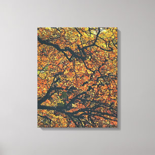 AUTUMN TREES CANVAS AFDRUK