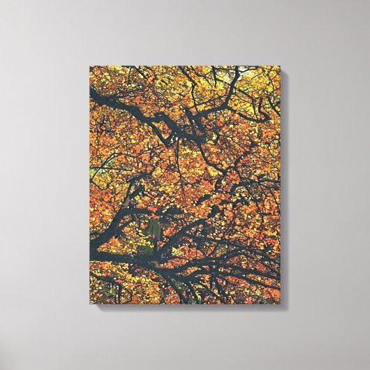 AUTUMN TREES CANVAS AFDRUK (Voorkant)
