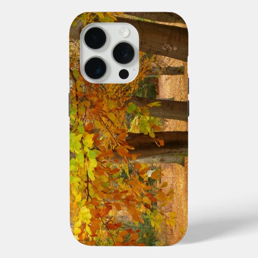 Autumn Trees Case-Mate iPhone Case (Achterkant)