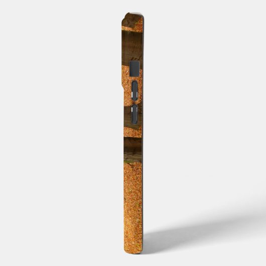 Autumn Trees Case-Mate iPhone Case (Achterkant / Links)