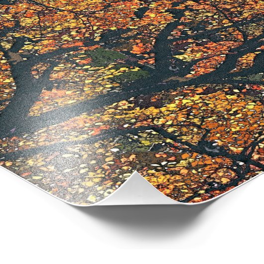 AUTUMN TREES FOTO AFDRUK (Hoek)