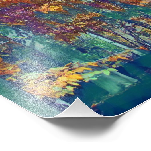 Autumn Trees Foto Afdruk (Hoek)