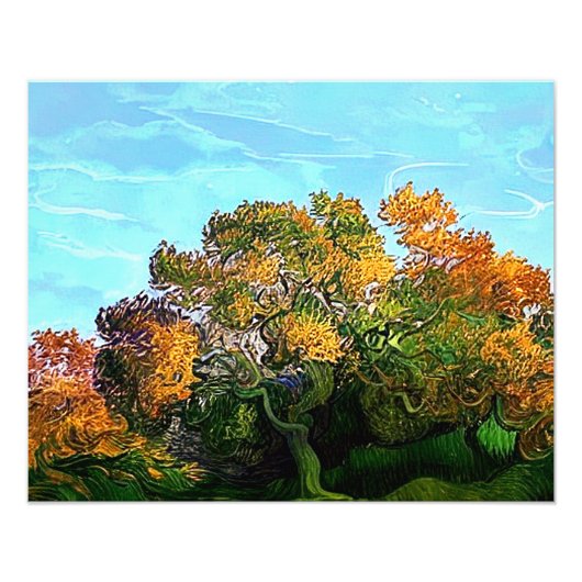 AUTUMN TREES FOTO AFDRUK (Voorkant)