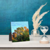 AUTUMN TREES FOTOPLAAT (Insitu)