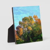 AUTUMN TREES FOTOPLAAT (Voorkant)