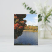 Autumn Trees in Ontario, Canada Briefkaart (Staand voorkant)