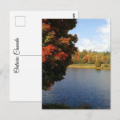 Autumn Trees in Ontario, Canada Briefkaart (Voorkant / Achterkant)