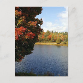 Autumn Trees in Ontario, Canada Briefkaart