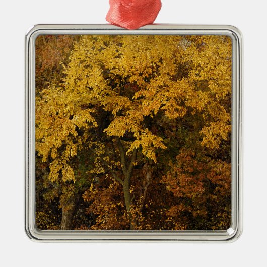 Autumn Trees Metalen Ornament (Voorkant)