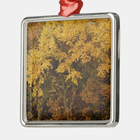 Autumn Trees Metalen Ornament (Links)